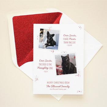 Naughty Or Nice Pet Funny Christmas Card by BanterandCharm at Zazzle