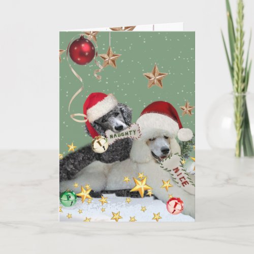 Naughty Or Nice Poodle Christmas Cards