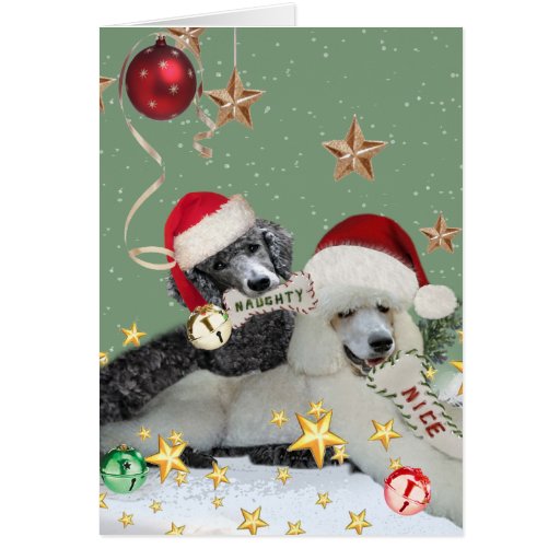 Naughty Or Nice Poodle Christmas Cards | Zazzle