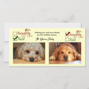 Naughty or Nice Two dog Christmas card
