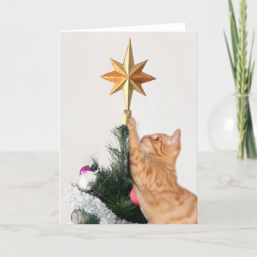 Naughty Orange Tabby Christmas Card