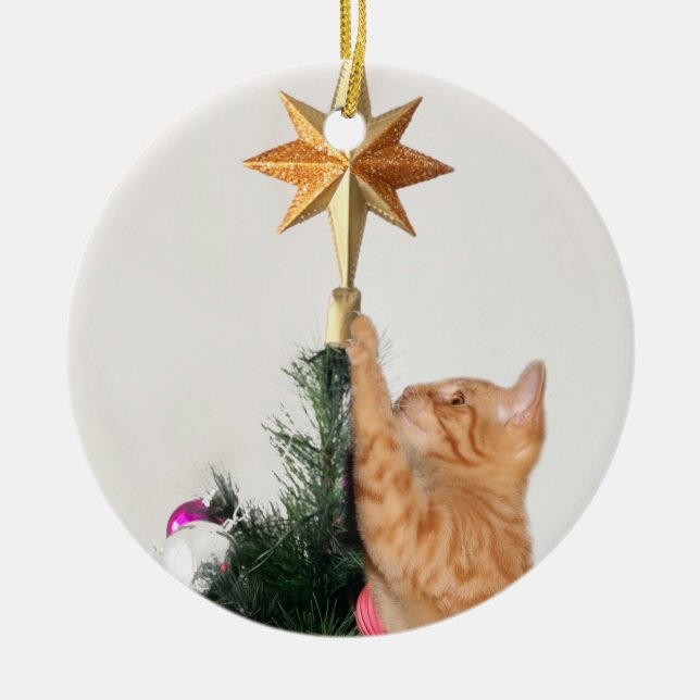 Naughty orange tabby Christmas Ceramic Ornament (Front)