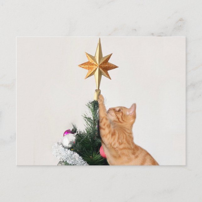 Naughty Orange tabby Christmas Holiday Postcard (Front)