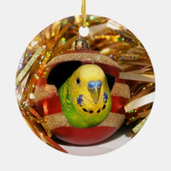 Naughty Parakeet Christmas Ceramic Ornament by deemac1 at Zazzle