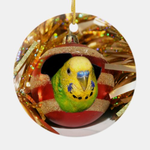 Naughty parakeet Christmas Ceramic Ornament