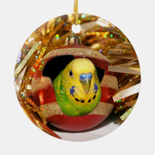 Naughty parakeet Christmas Ceramic Ornament (Back)