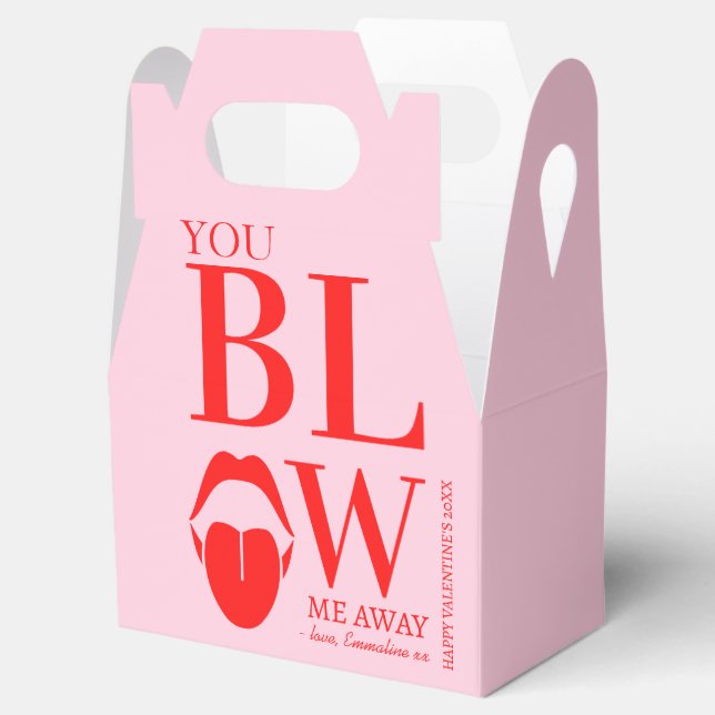 Naughty Pink Red Valentines Day Card Favor Boxes (Opened)