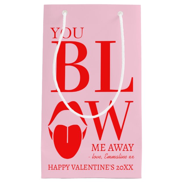 Naughty Pink Red Valentines Day Card Small Gift Bag (Front)