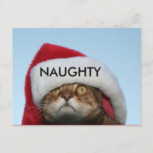 NAUGHTY POSTCARD