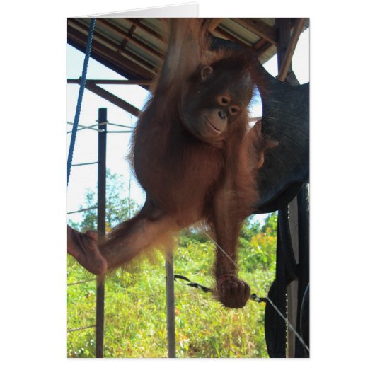 Naughty Primate Potty Break Cards (Front)