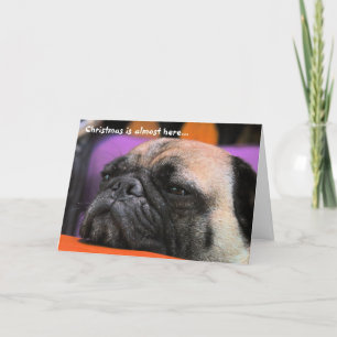 Naughty Pug Christmas Card