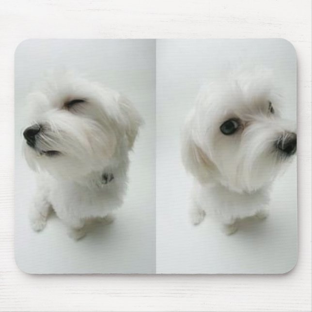 naughty-puppies mouse pad (Front)
