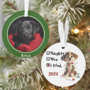 Naughty Puppy Santa Checklist Green Ornament