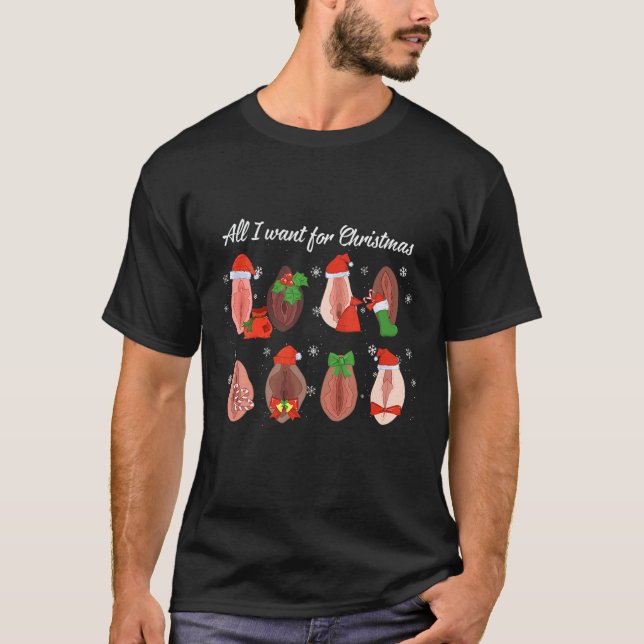Naughty Santa , Dirty Christmas Funny Christmas Wo T-Shirt (Front)