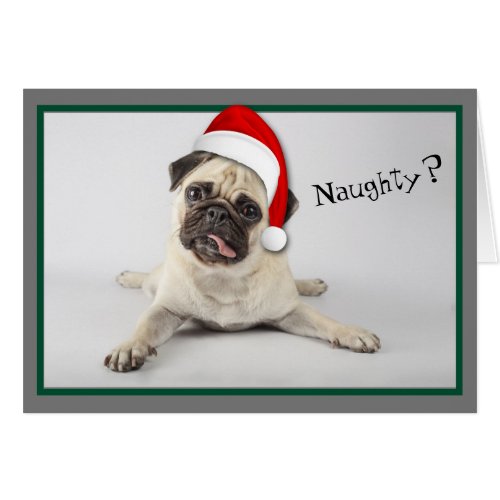 Naughty Santa Hat Pug Dog Christmas