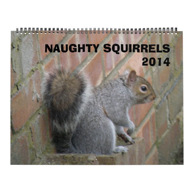 Naughty Squirrels 2014 Calendar (Cover)