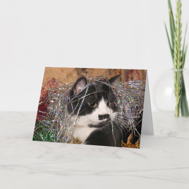 Naughty tuxedo kitty Christmas Holiday Card (Front)