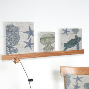 Nautical Beach Coastal Sea Turtle Starfish Coral Picture Ledge