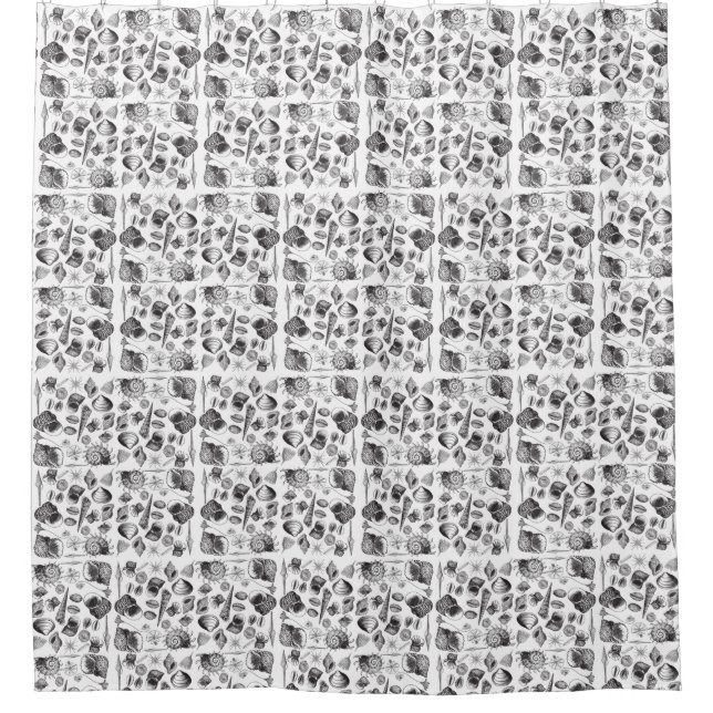 Nautical Black on White Shell pattern  Shower Curtain (Front)
