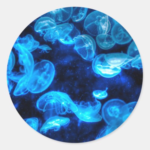 Nautical Blue Jellyfish Marine Life Classic Round Sticker