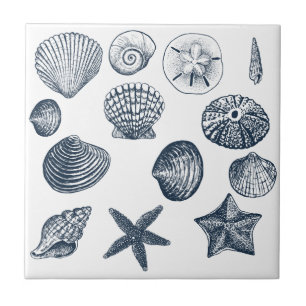 Nautical Blue Ocean shells Tile
