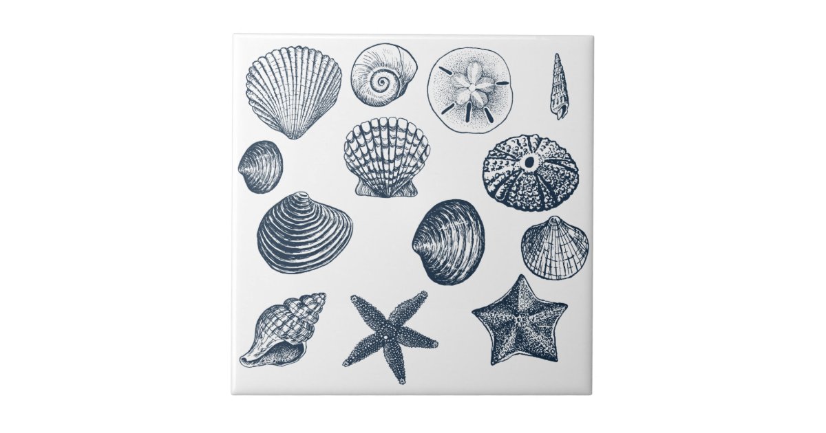Nautical Blue Ocean shells Tile | Zazzle