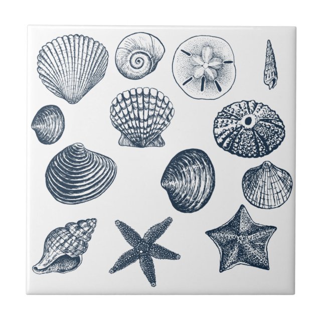 Nautical Blue Ocean shells Tile (Front)