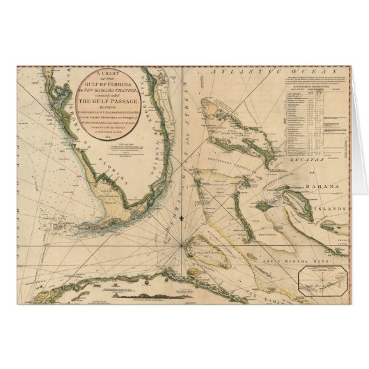Nautical Chart of the Gulf of Florida Cards (Front Horizontal)