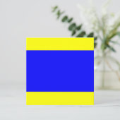 Nautical Flag Signal Delta Letter D (Standing Front)