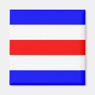 Nautical Flag Signal Letter C (Charlie) Magnet