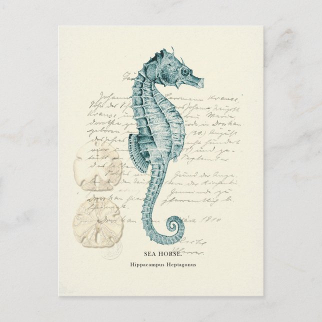 Nautical Mile Postcard (Front)