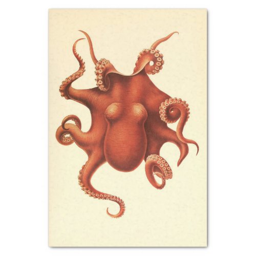 Nautical Octopus Ephemera Decoupage Red Tissue Paper