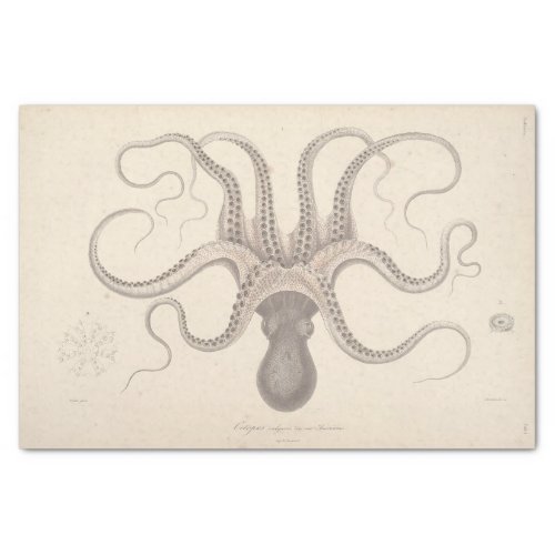 Nautical Octopus Script Ephemera Decoupage Tissue Paper