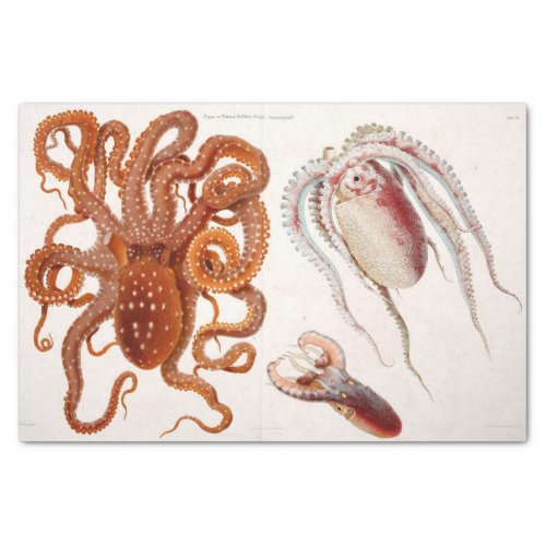 Nautical Octopus Squid Ephemera Decoupage Red Tissue Paper