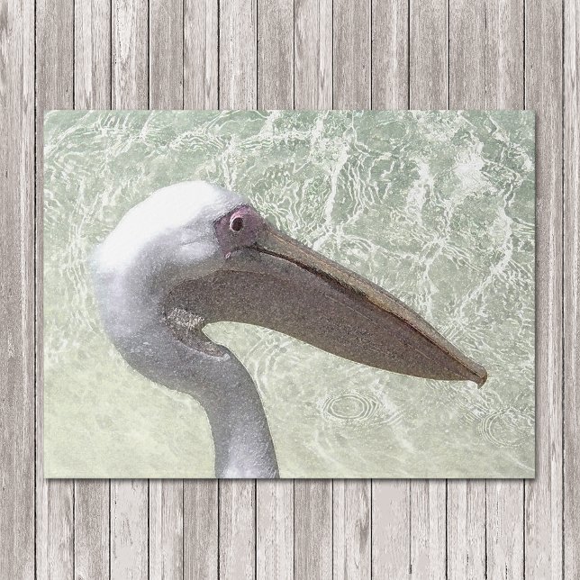 Nautical Pelican In Water Watercolor Doormat (Creator Uploaded)