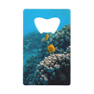 Nautical Photos Marine Animal Photography Fish Pic Credit Card Bottle Opener