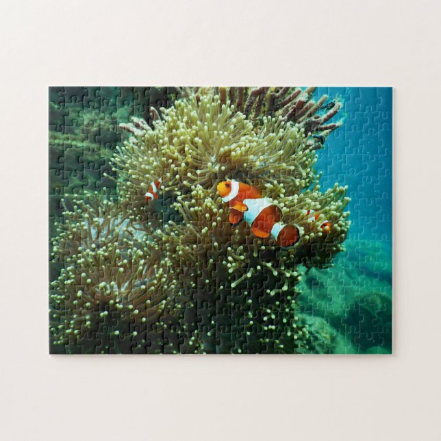 Nautical Photos Marine Animal Photography Fish Pic Jigsaw Puzzle (Horizontal)