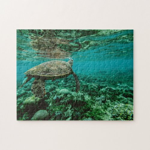 Nautical Photos Marine Animal Photography Fish Pic Jigsaw Puzzle