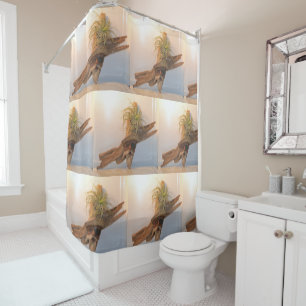 Nautical Pirate Shower Curtain