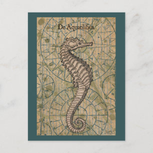 Nautical Seahorse Postcard