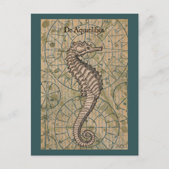 Nautical Seahorse Postcard (Front)