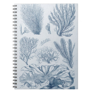 Nautical Sealife Notebook