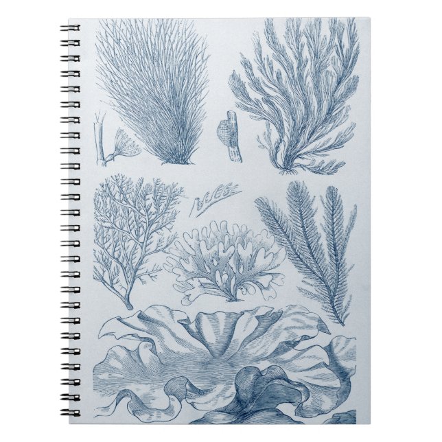 Nautical Sealife Notebook (Front)