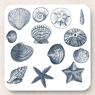 Nautical shells drink coaster