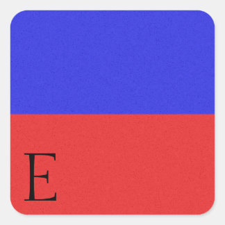 Nautical Signal Flag Alphabet Sticker E
