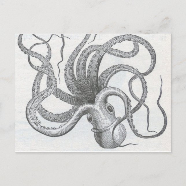 Nautical steampunk octopus vintage kraken design postcard (Front)