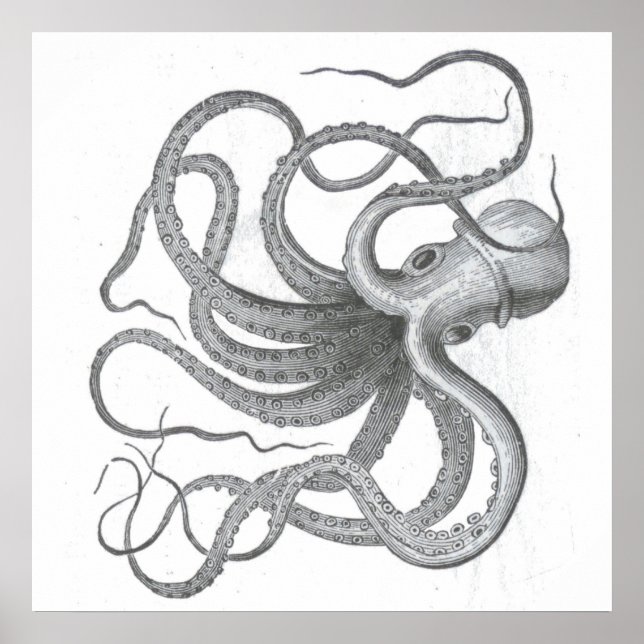 Nautical steampunk octopus vintage kraken drawing poster (Front)