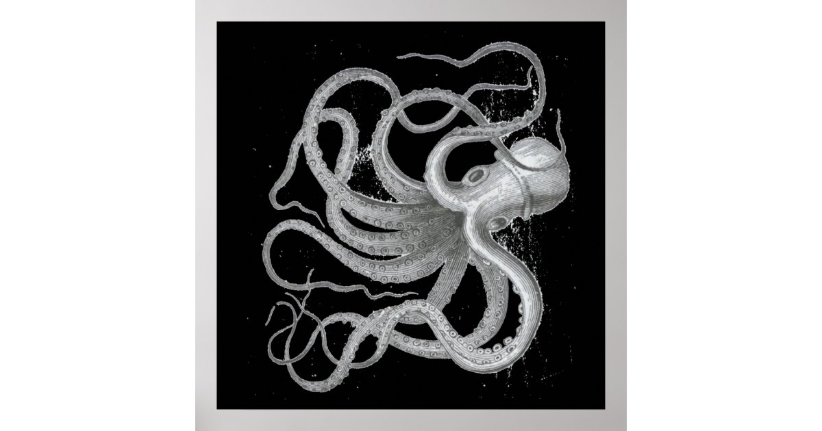 elegant octopus sketch