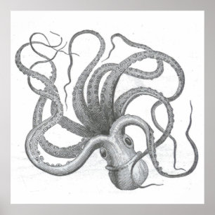 Nautical steampunk octopus vintage kraken drawing poster