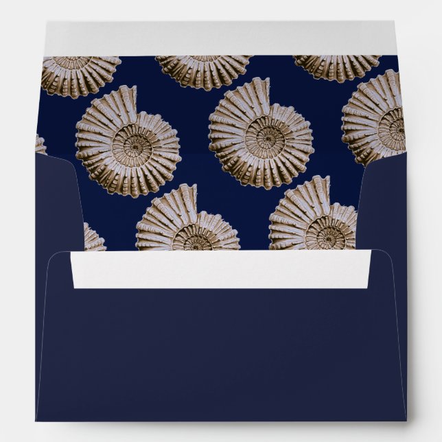 Nautical Tan Spiral Seashells & Navy Blue Envelope (Back (Bottom))